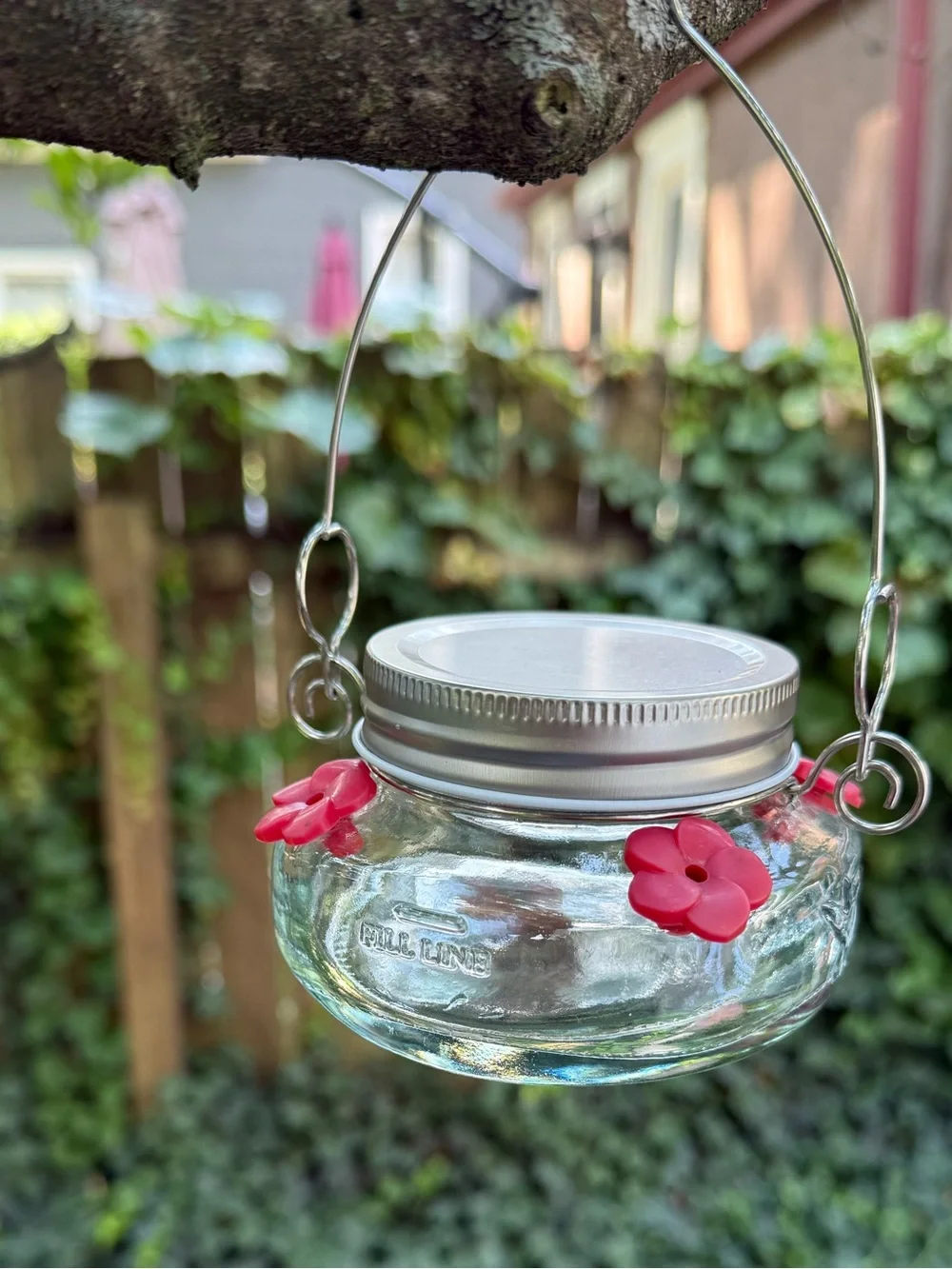 Glass Hummingbird Feeder with Red Flower Ports